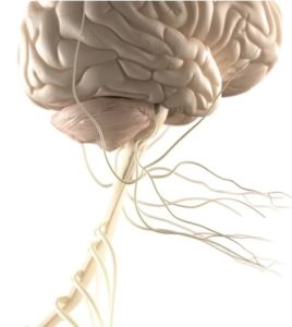 Центральное апное сна