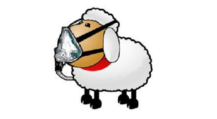 SleepyHead приложение анализа данных СИПАП